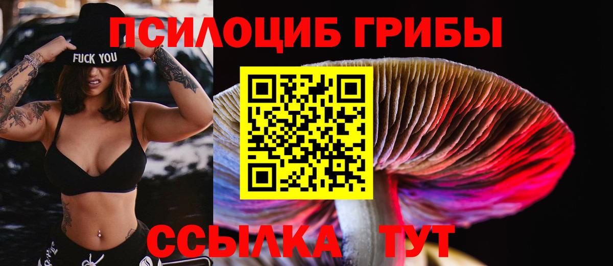 Галлюциногенные грибы ЛСД  Галлюциногенные грибы Psilocybe  Вход с VPN  купить наркотик  Арсеньев 